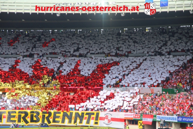 oesterreich - brasilien 10.6.2018 14